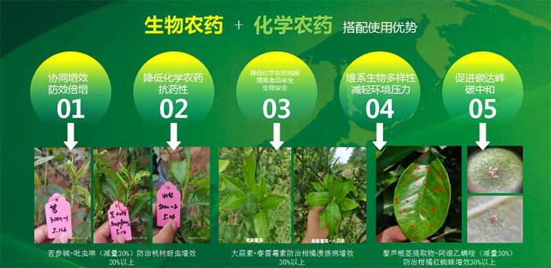 新朝陽在第六屆中國農(nóng)藥行業(yè)市場和銷售高峰論壇做“生物農(nóng)藥+化學(xué)農(nóng)藥，引領(lǐng)植保市場未來”主題報(bào)告