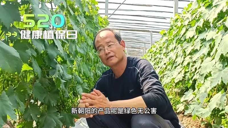 520健康植保日——擁抱綠色農(nóng)業(yè)，我們?cè)谛袆?dòng)
