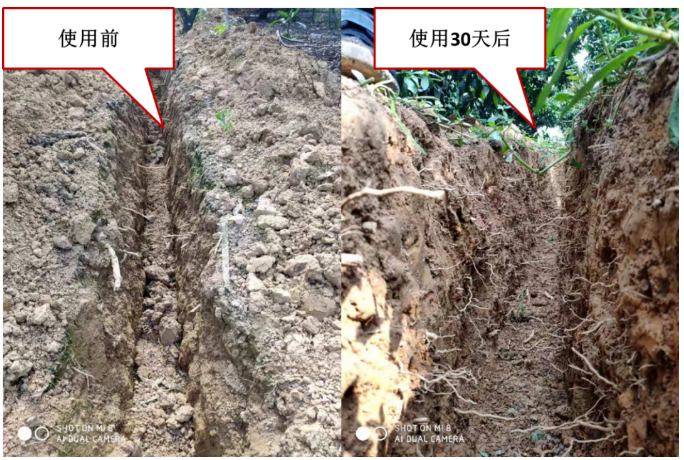 “土壤板結(jié)克星”：土壤調(diào)理劑你了解多少？